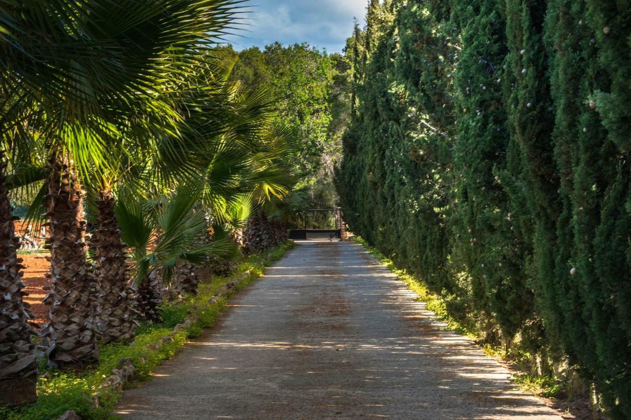 Villa Can Fita Puig D'en Valls 外观 照片
