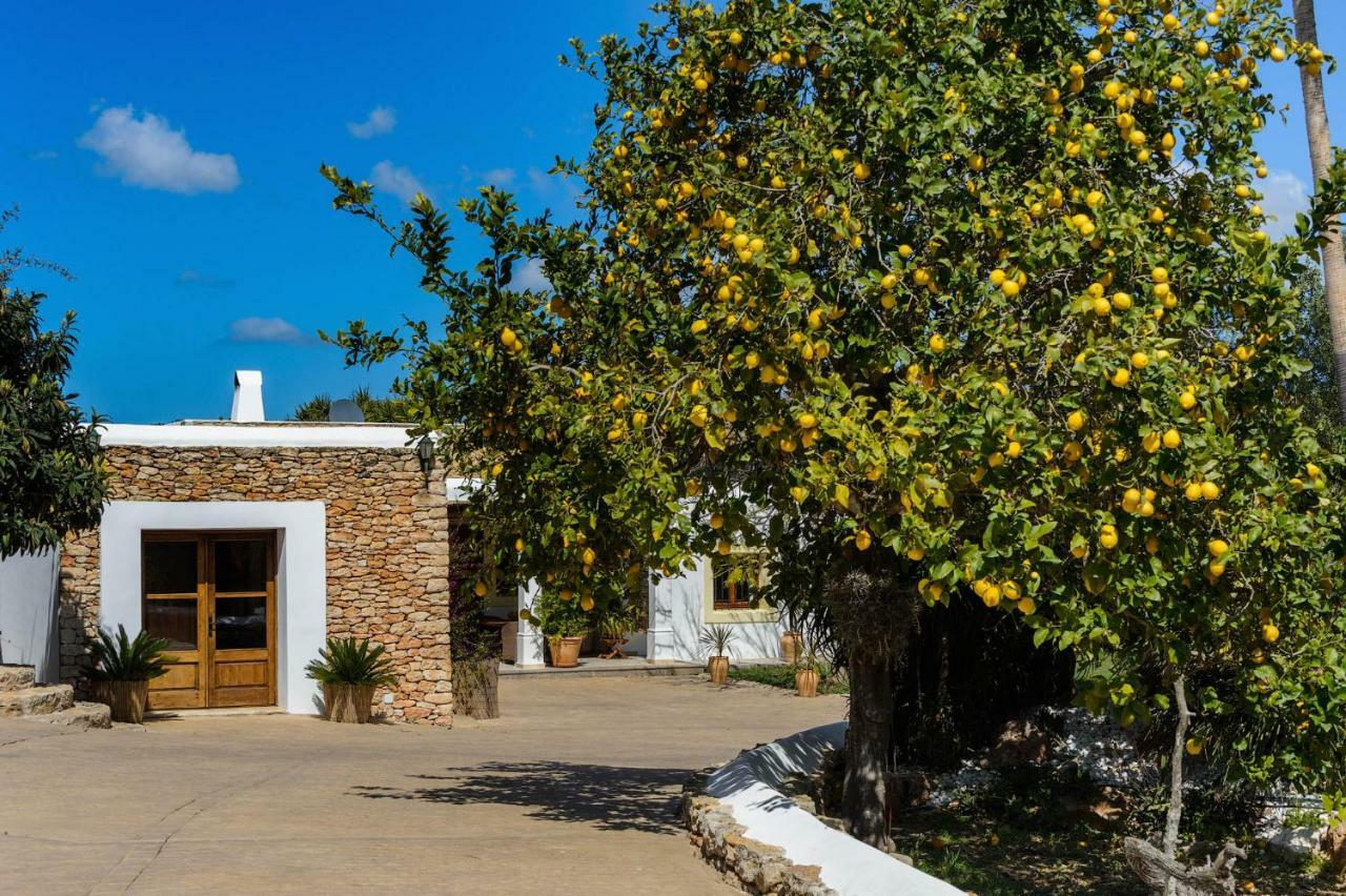 Villa Can Fita Puig D'en Valls 外观 照片
